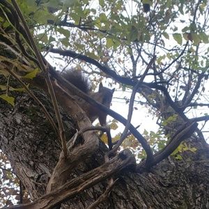 Meet your Posher, Haskell